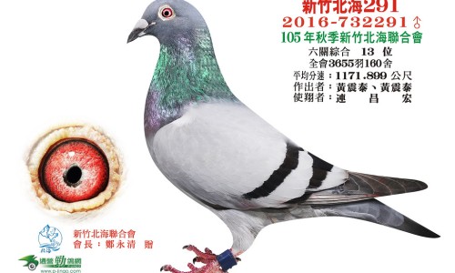 脂肪腿做什么运动减脂网-分享脂肪腿是什么原因造成的，脂肪腿怎么瘦最快知识库